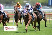 Dream Starlet's Dream Debut For New Stable