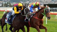 Perun gives trainer a welcomed tonic