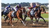Trainer Alana Fulton lands a long shot winner