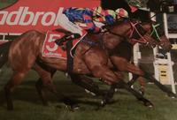 Balestrand wins in a tight photo