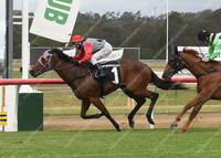 The real-life fairytale of two unwanted 2-year-olds saved from a grim fate