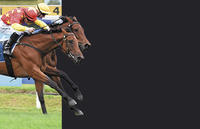 Barry Heads to the Karaka Sales