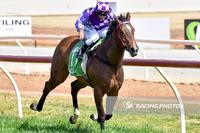 MASTERFUL LA MAESTRA