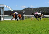 DENIM STREET WINS LAST TWO STARTS