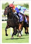 SUBERB WIN BY PIERATA AT DOOMBEN