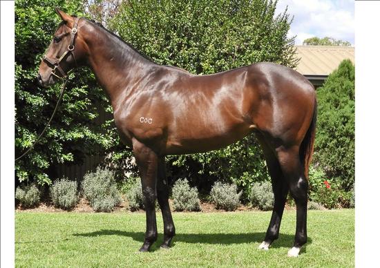Sizzling X Elusive Air