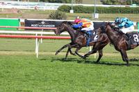 PIERATA RUNS WELL IN THE BILL RICHIE