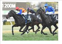 PIERATA WINS THE MISSILE STAKES