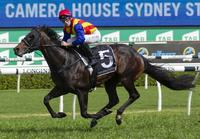 PIERATA runs in the ALL AGED STAKES