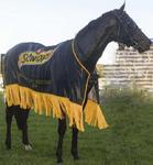 Pierata Ready for his first start towards the Everest