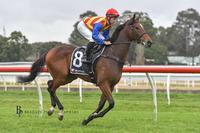Winners in June 2020
