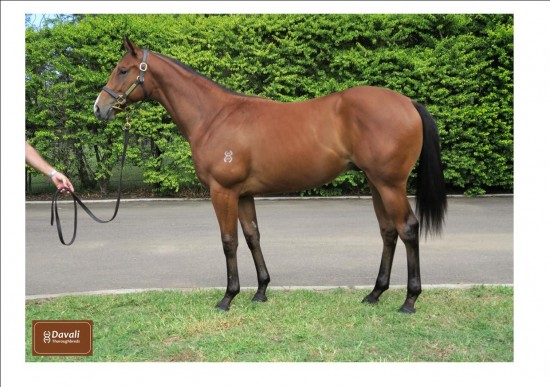 Un-named (Headwater - Miss Canny)