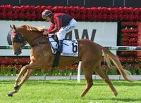 Dreams Aplenty launches winter campaign at Doomben