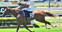 Blood count clears Ruby Red Heart to run at Doomben