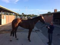 Stable Debutants