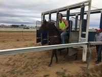 Trotter Racing January 2017 Update