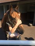 Nice Return From Plot The Course