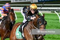 Plot The Course Back In The Winners Stall