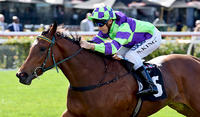 I Am A Star To Resume In Group 2 Rubiton Stakes