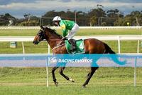 Seymour Double For Nichols