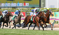 Tough Group 2 Win For Nichols' Star