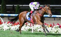 Star Shines Again And Set To Shine Brighter At Australian Racehorse Awards