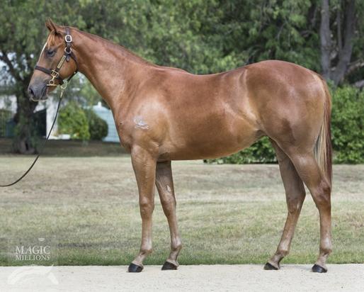 Exceed And Excel X Alberton Park 16