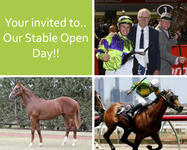 Stable Open Day!!