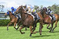 WUDANG BLADE KEEPS SYDNEY STRIKE RATE IN TACT