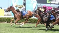 PROMISING 3YO ON DERBY TRAIL