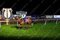 ESCAPADO SPACES HIS RIVALS