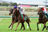 GUTSY WIN BY WUDANG BLADE AT DOOMBEN!