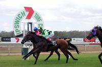 SHINSTAR SHINES AT IPSWICH!