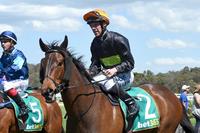 Jockey makes amends on Royal Enigma