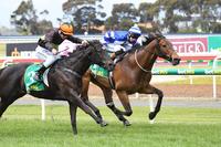 Stablemate's surge edges out 