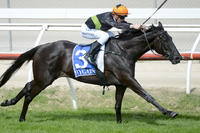 Tigidig Tigidig strikes winning form