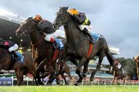 Hat-trick for in-form Tigidig Tigidig 