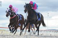 Buzz Punch fights out brave victory