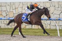 Unlucky Royal Enigma back on winners list