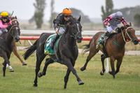 Cameo Lass dominates at Camperdown 