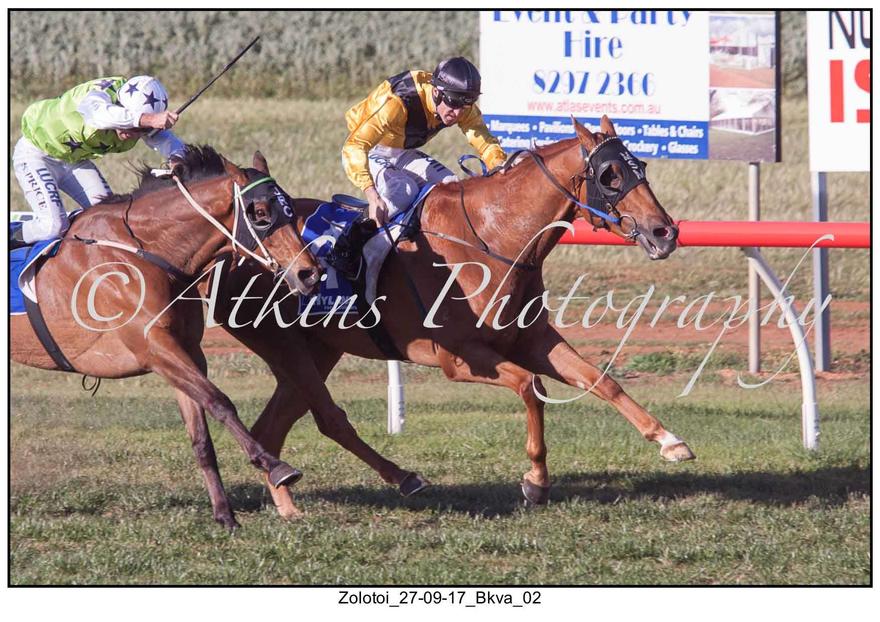 Australian Horse Trainer Minervini Racing