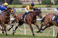 Doubling Up at Clare