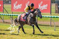 Smart Win By Martinique