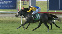 Martinique Returns To Form