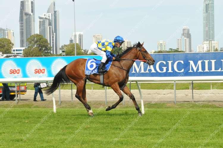 Australian Horse Trainer - Meagher Racing Pty Ltd