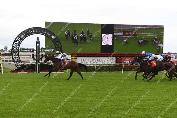 Australian Horse Trainer - Meagher Racing Pty Ltd