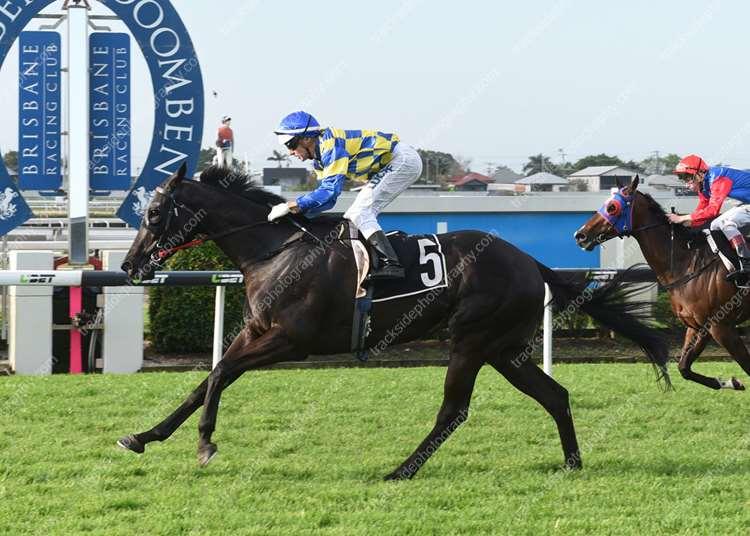 Australian Horse Trainer - Meagher Racing Pty Ltd