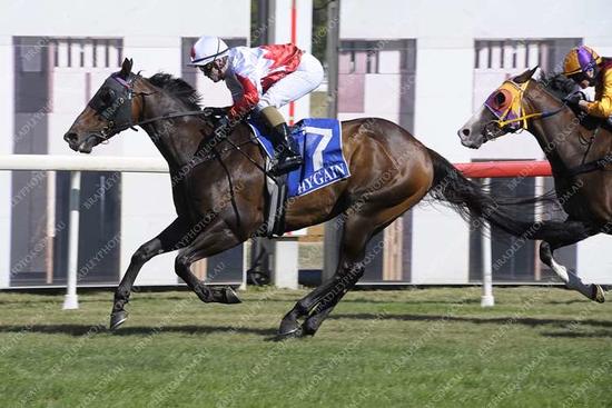 Lucky Prospector