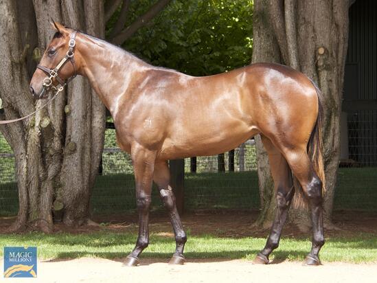 Smart Missile X Leamington