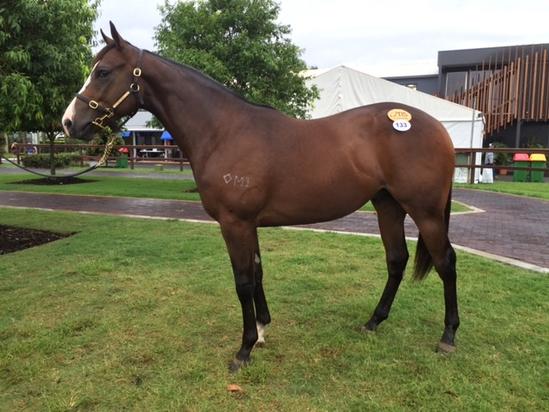 I Am Invincible X Lune Rouge